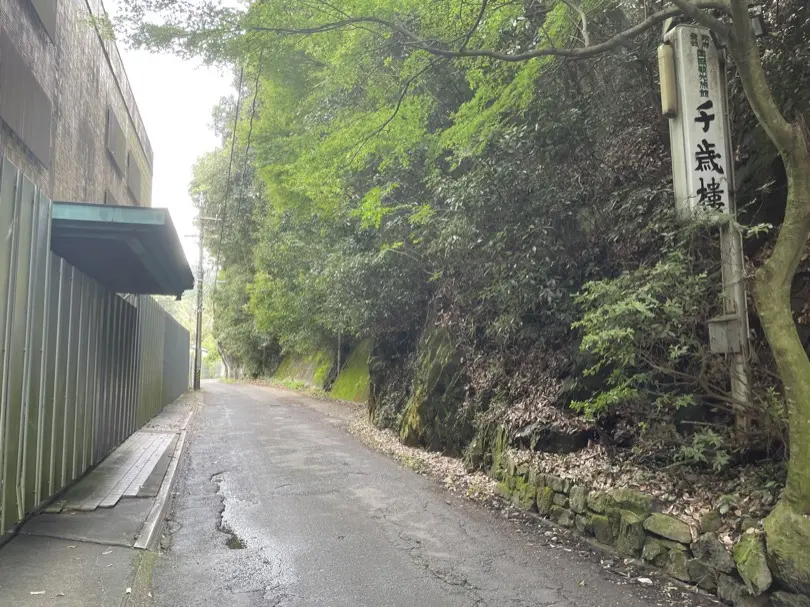 IMG_5264.JPG (6.1 MB)