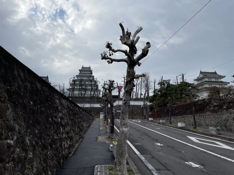 IMG_5980.JPG (4.0 MB)