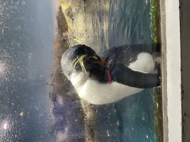 IMG_5978.JPG (4.7 MB)